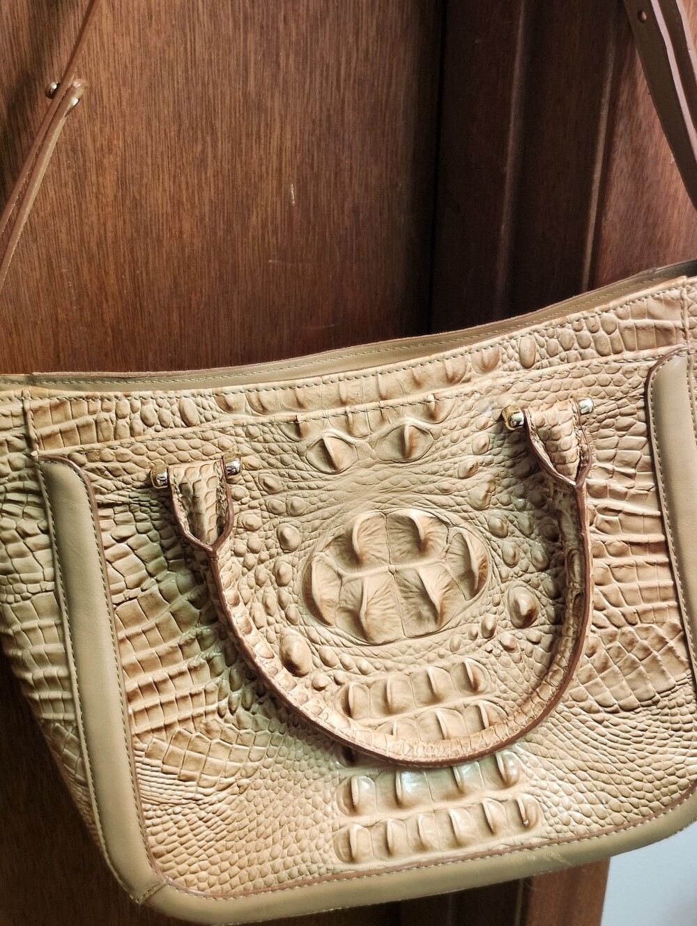 Brahrmin Structured Croc-Embossed Shoulder Bag in Tan